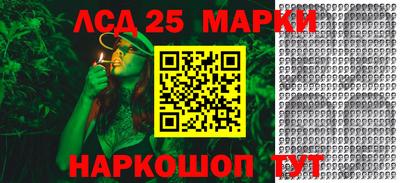 Альфа ПВП Моздок