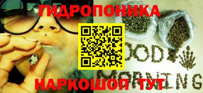 Альфа ПВП Моздок