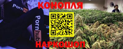 мдма Можга