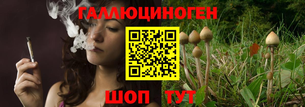Галлюциногенные грибы Psilocybine cubensis Чехов